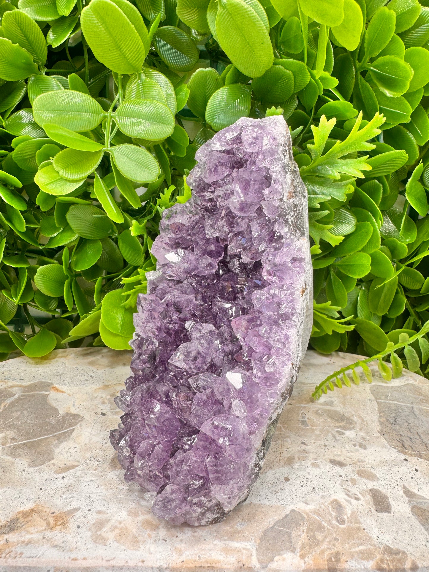 Amethyst Cluster 832g