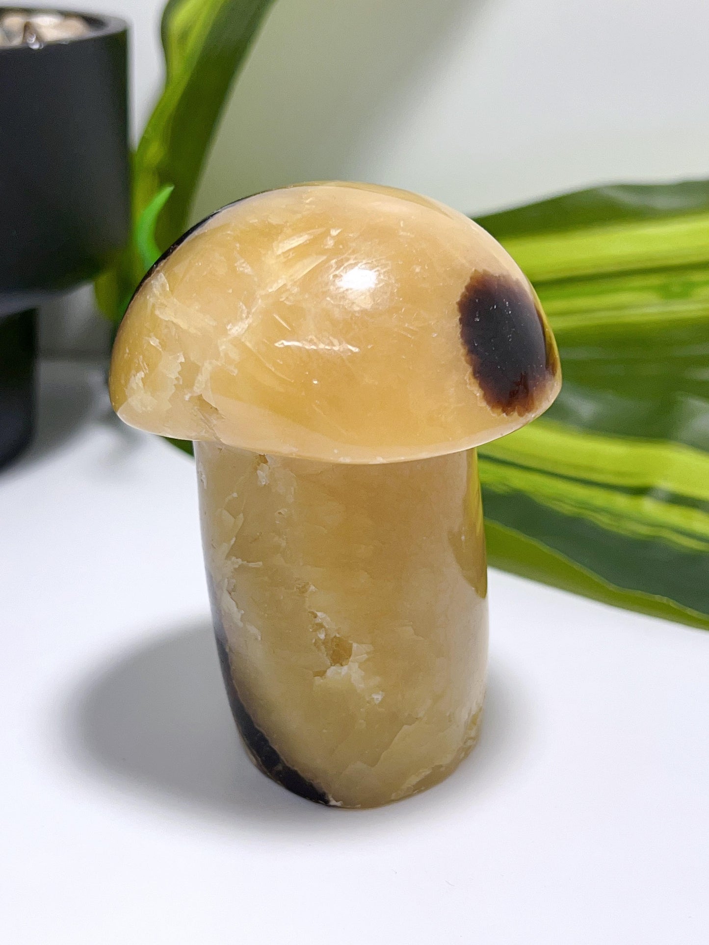 Septarian Mushroom 376g
