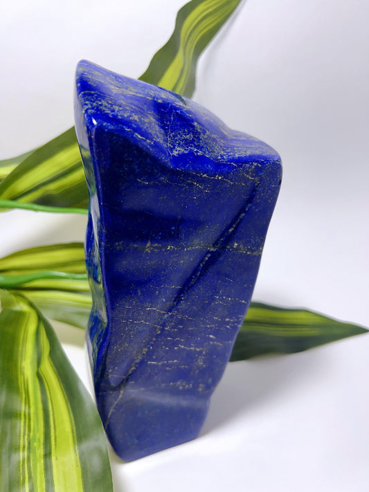 Lapis Lazuli Freeform - 1.6kg