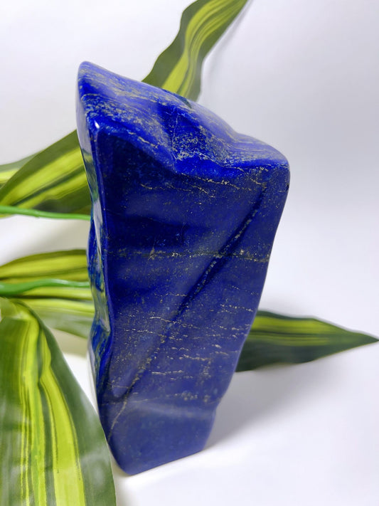 Lapis Lazuli Freeform - 1625g