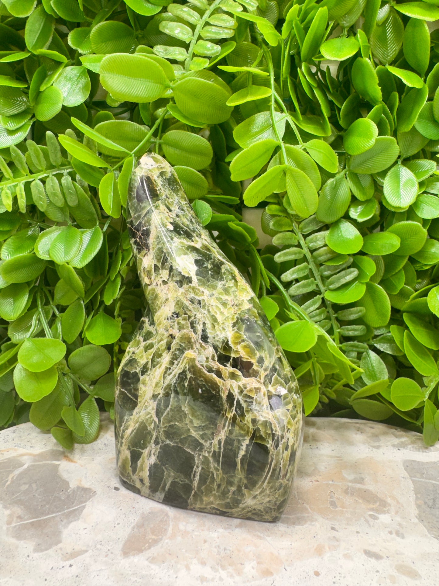 Tremolite Freeform 662g