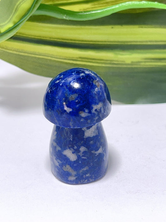 Lapis Lazuli Mushroom - 67g