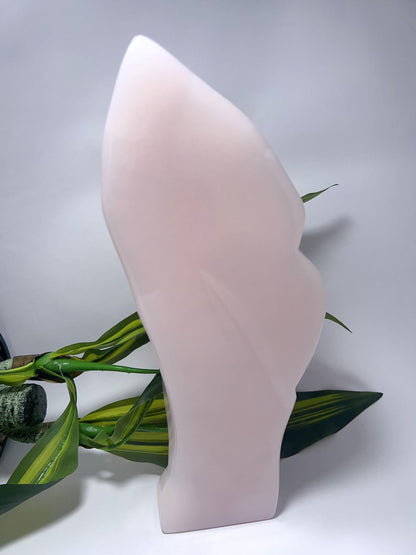 Pink Mangano Freeform - 3419g
