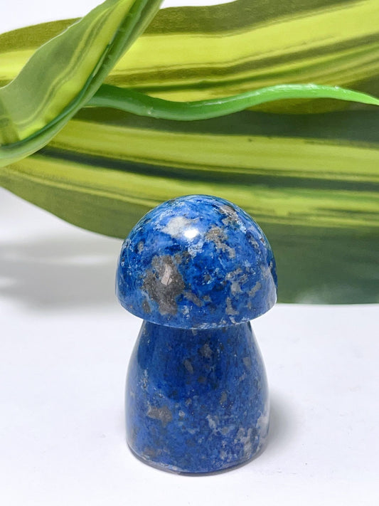 Lapis Lazuli Mushroom - 89g