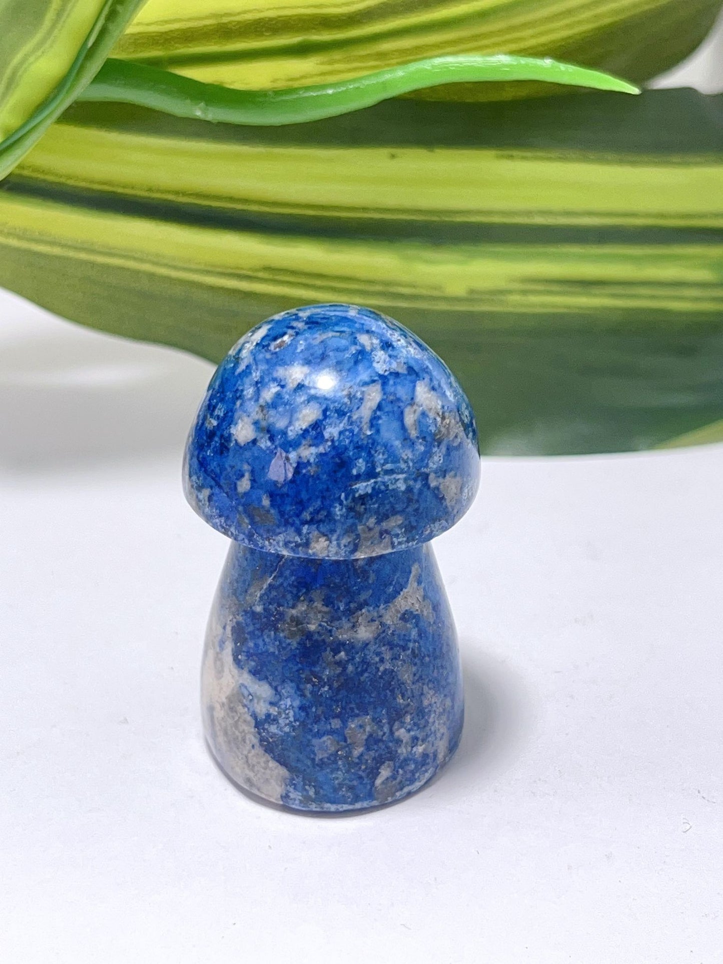 Lapis Lazuli Mushroom- 84g