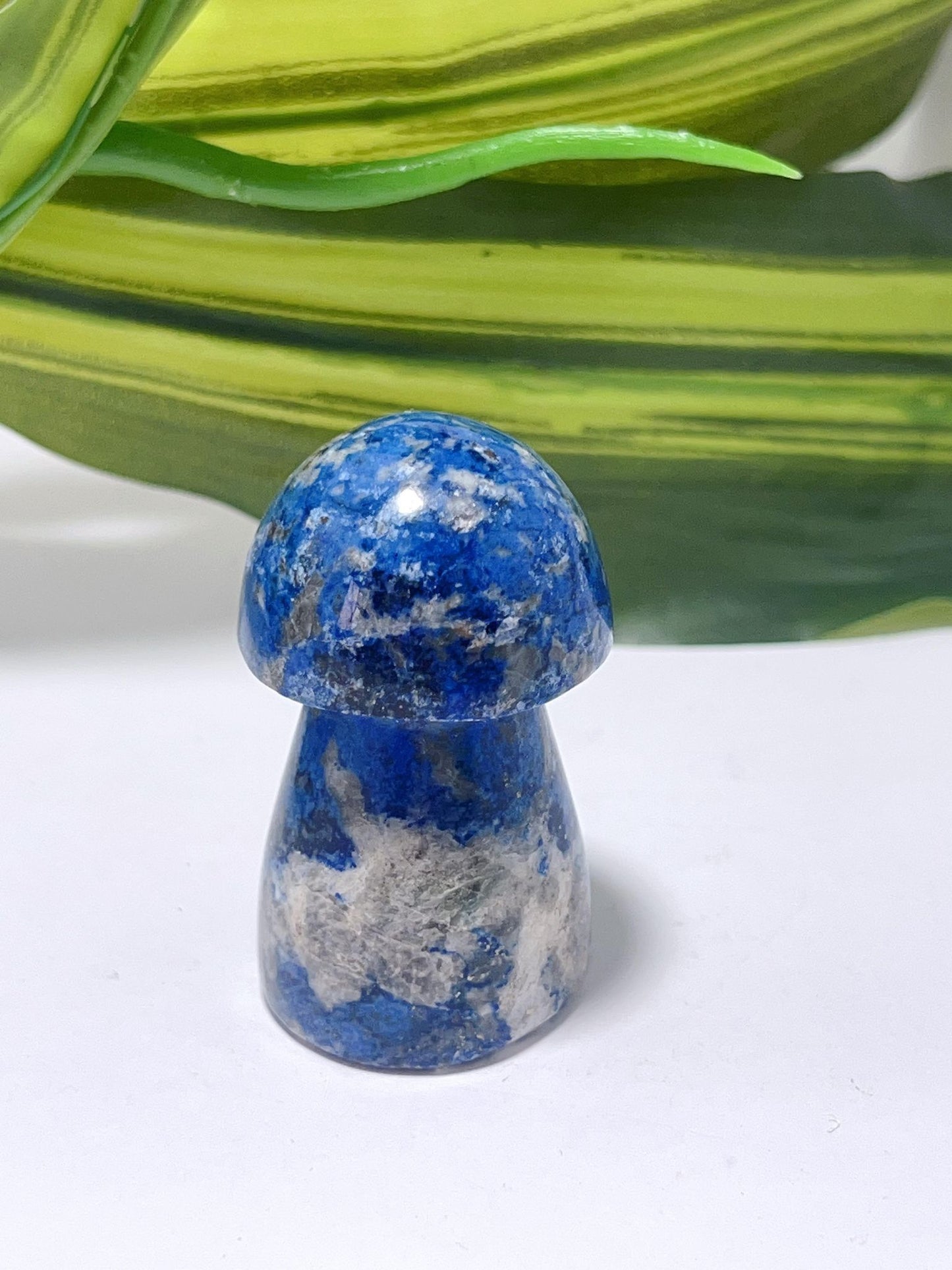 Lapis Lazuli Mushroom- 84g