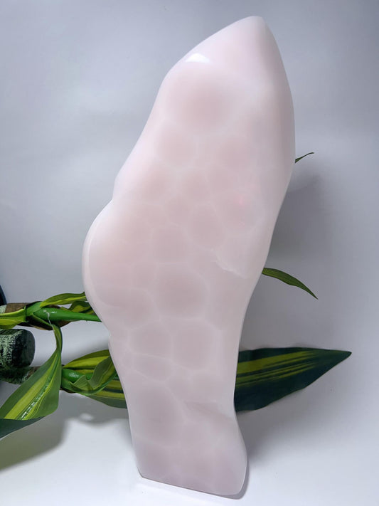 Pink Mangano Freeform - 3419g