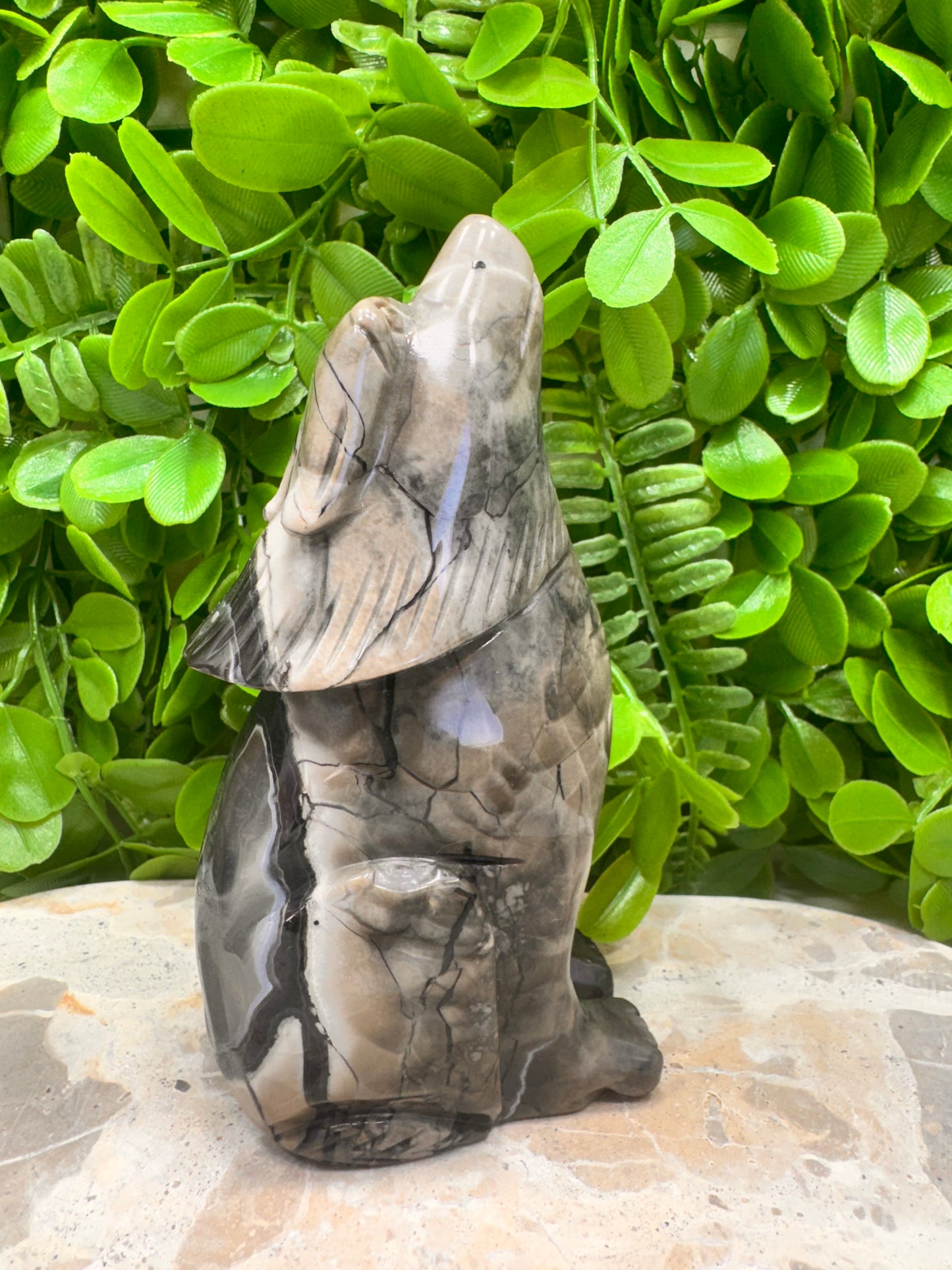 Volcanic Agate Wolf 512g