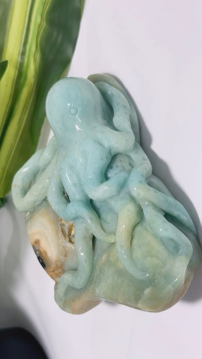 Amazonite Octopus Carving 600g