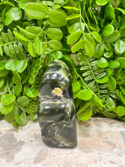Nephrite Jade Freeform 322g