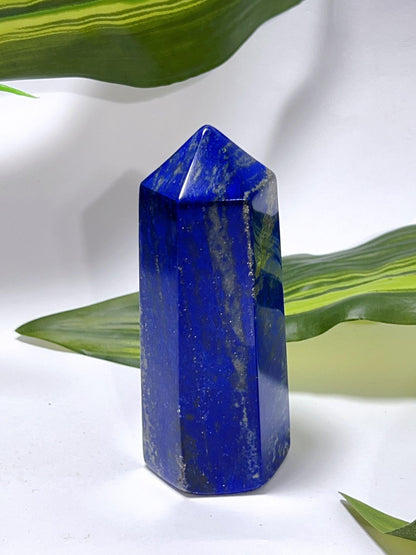 Lapis Lazuli Pt 262G