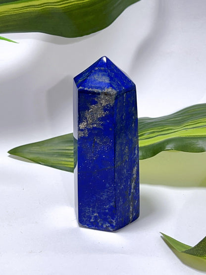 Lapis Lazuli Pt 262G
