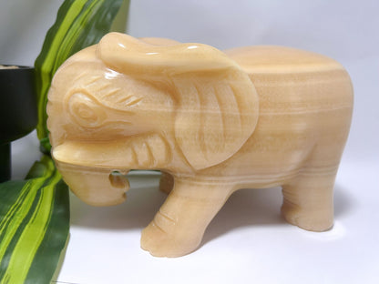 Orange Calcite Elephant 3.7kg
