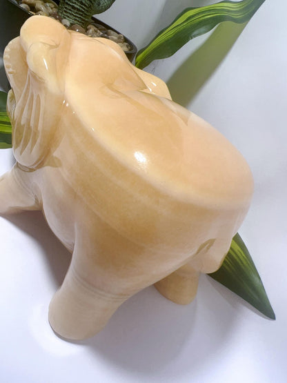 Orange Calcite Elephant 3.7kg