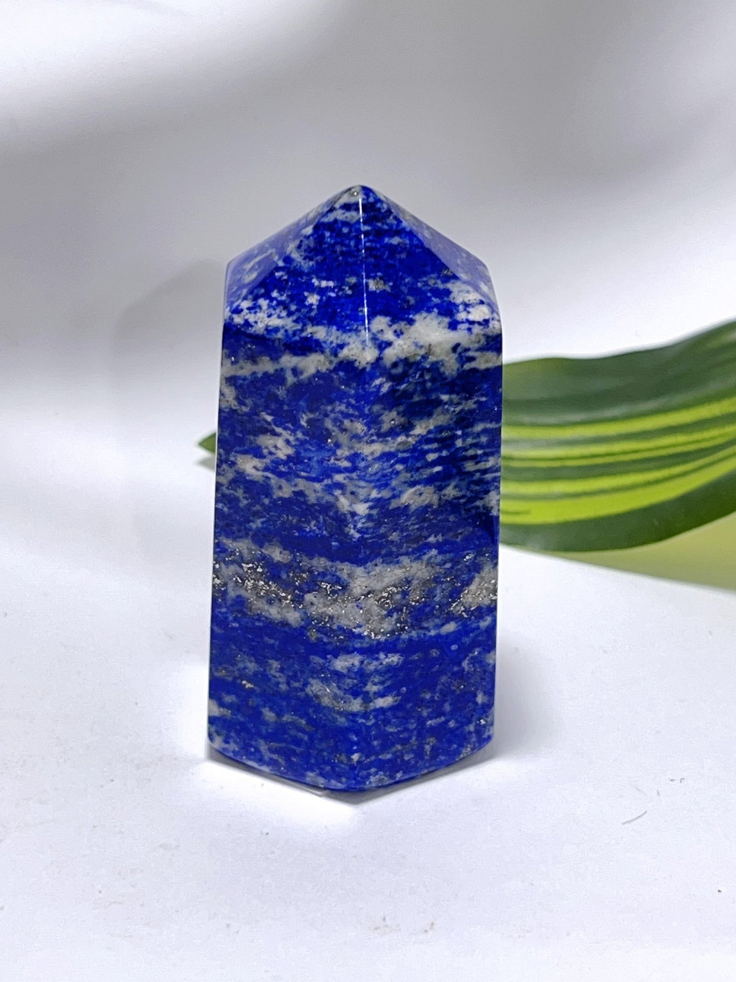 Lapis Lazuli Pt 164G