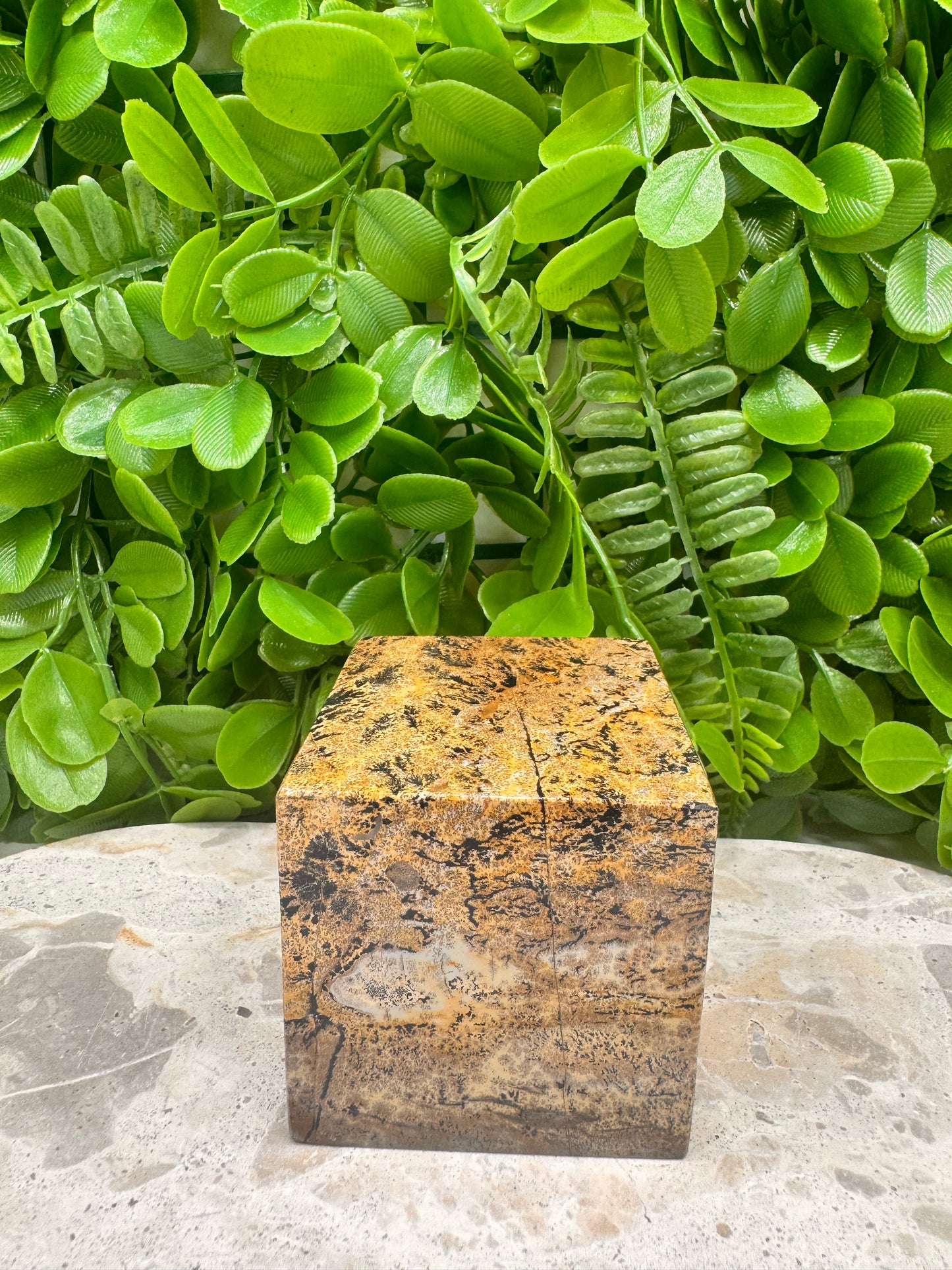 Picture Jasper Cube 546g