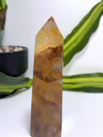 Golden Healer Tower 414G