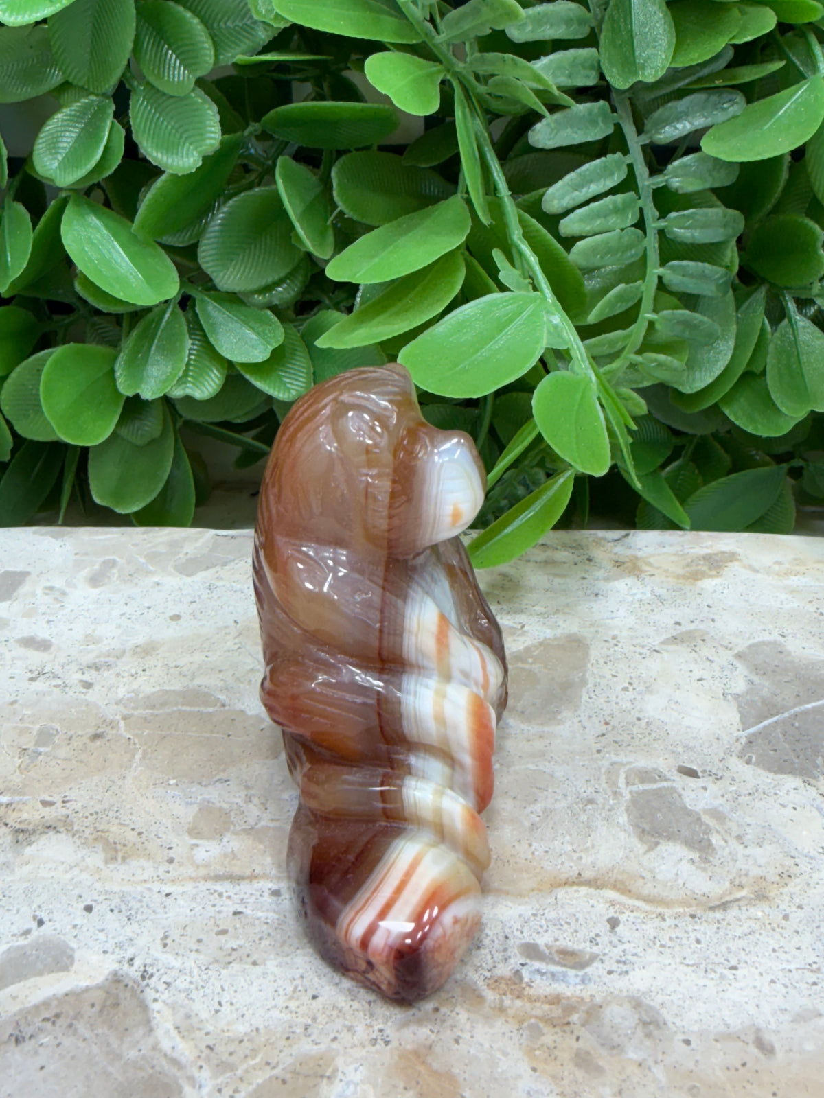 Carnelian Ape 134g | Motivation • Confidence • Creativity