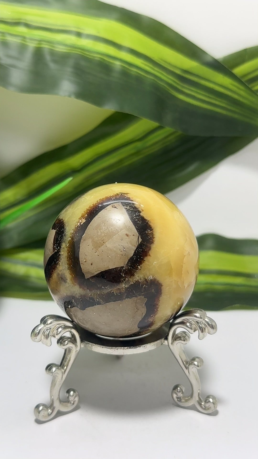 Septarian Sphere 302g