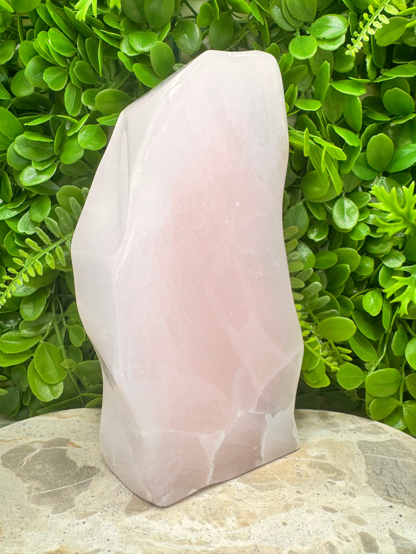 Pink Mangano Freeform 2424g