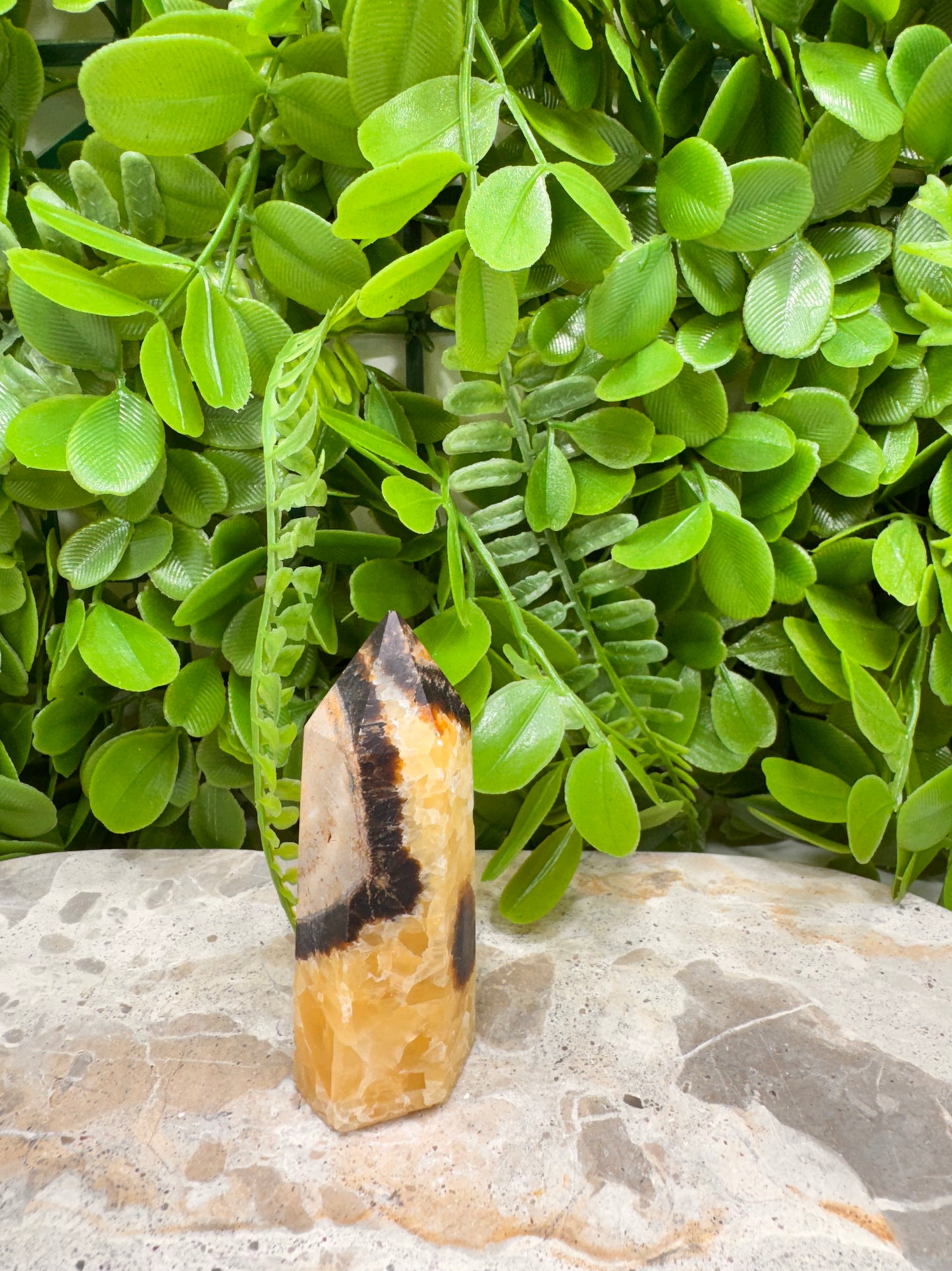 Septarian Dragon Stone Point 88g