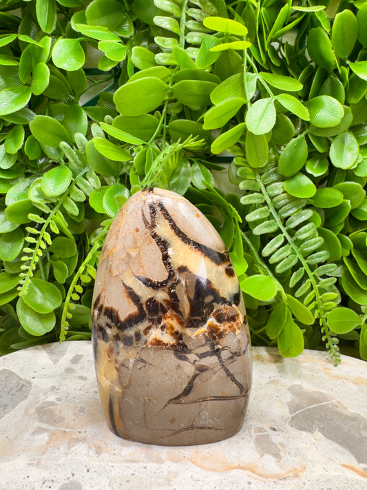 Septarian Freeform 456g