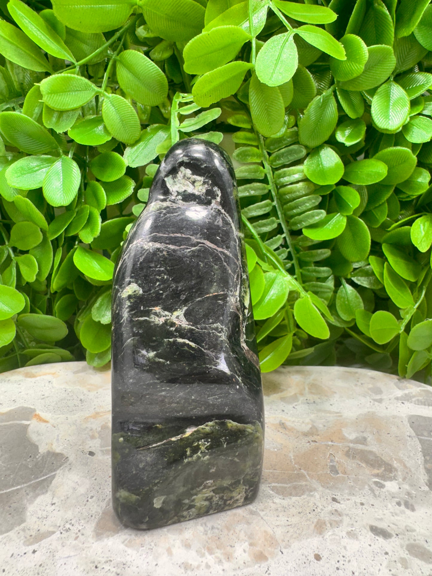 Nephrite Jade Freeform 644g