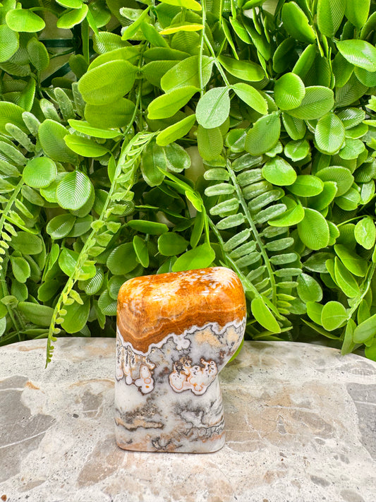 Ocean Root Jasper Freeform 188g