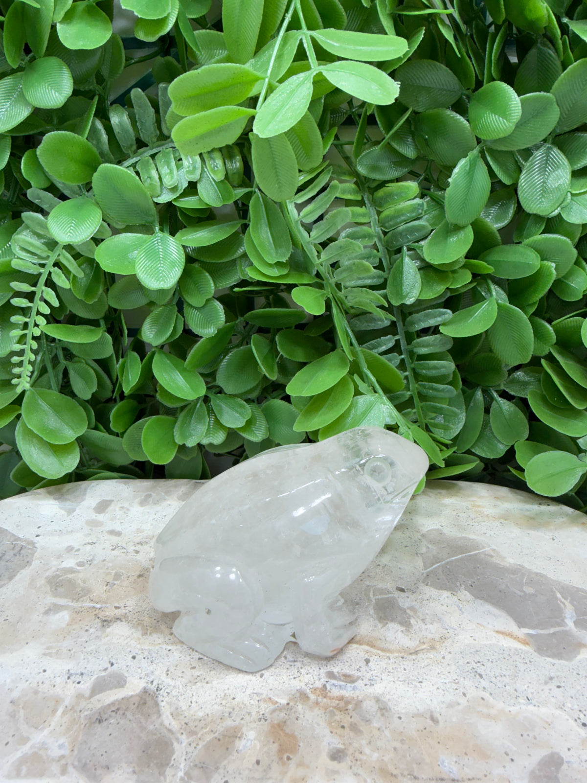Clear Quartz Frog 308g