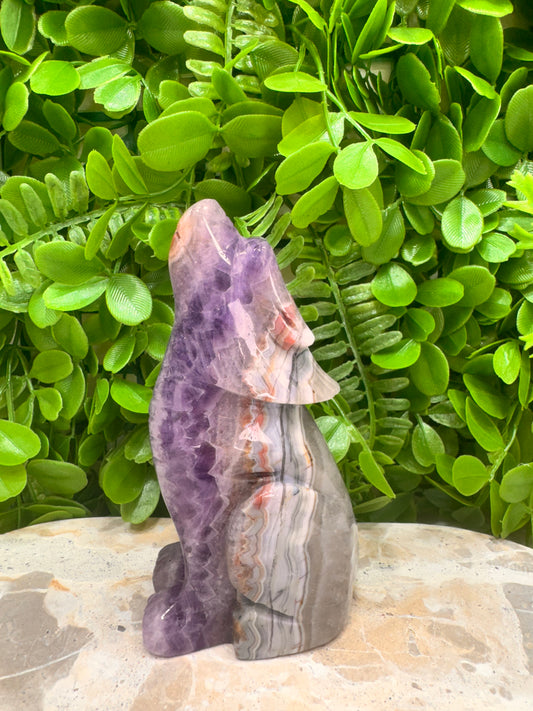 Amethyst Mexican Agate Wolf 498g