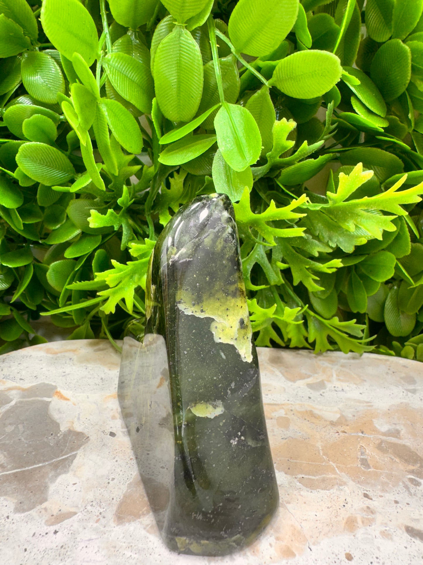 Nephrite Jade Freeform 336g