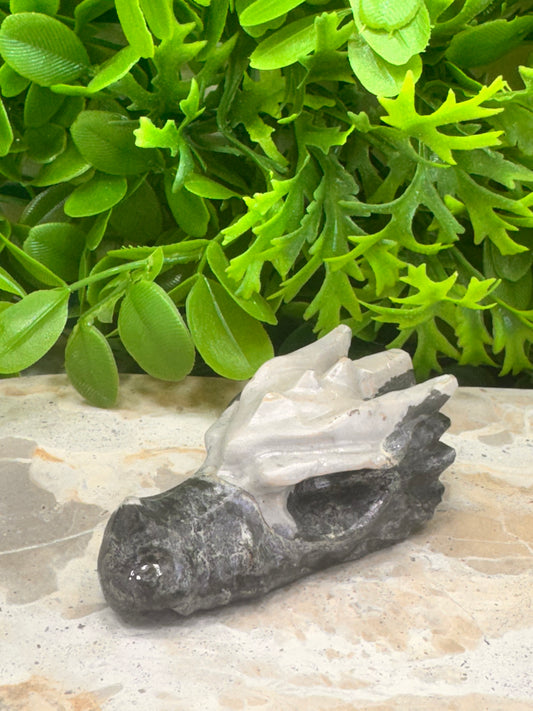 Jasper Dragon Skull 120g