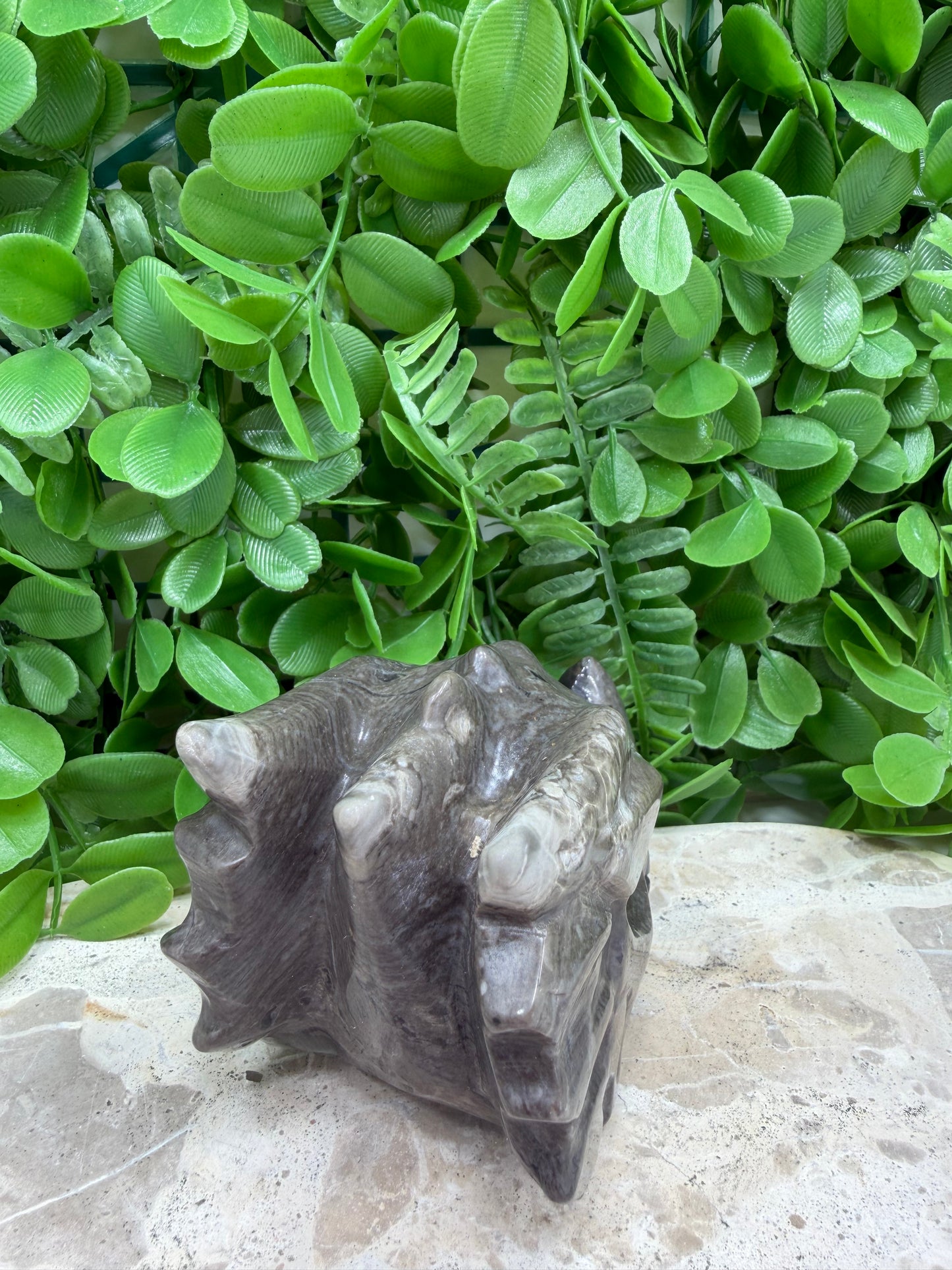 Volcanic Agate Dragon Skull 610g