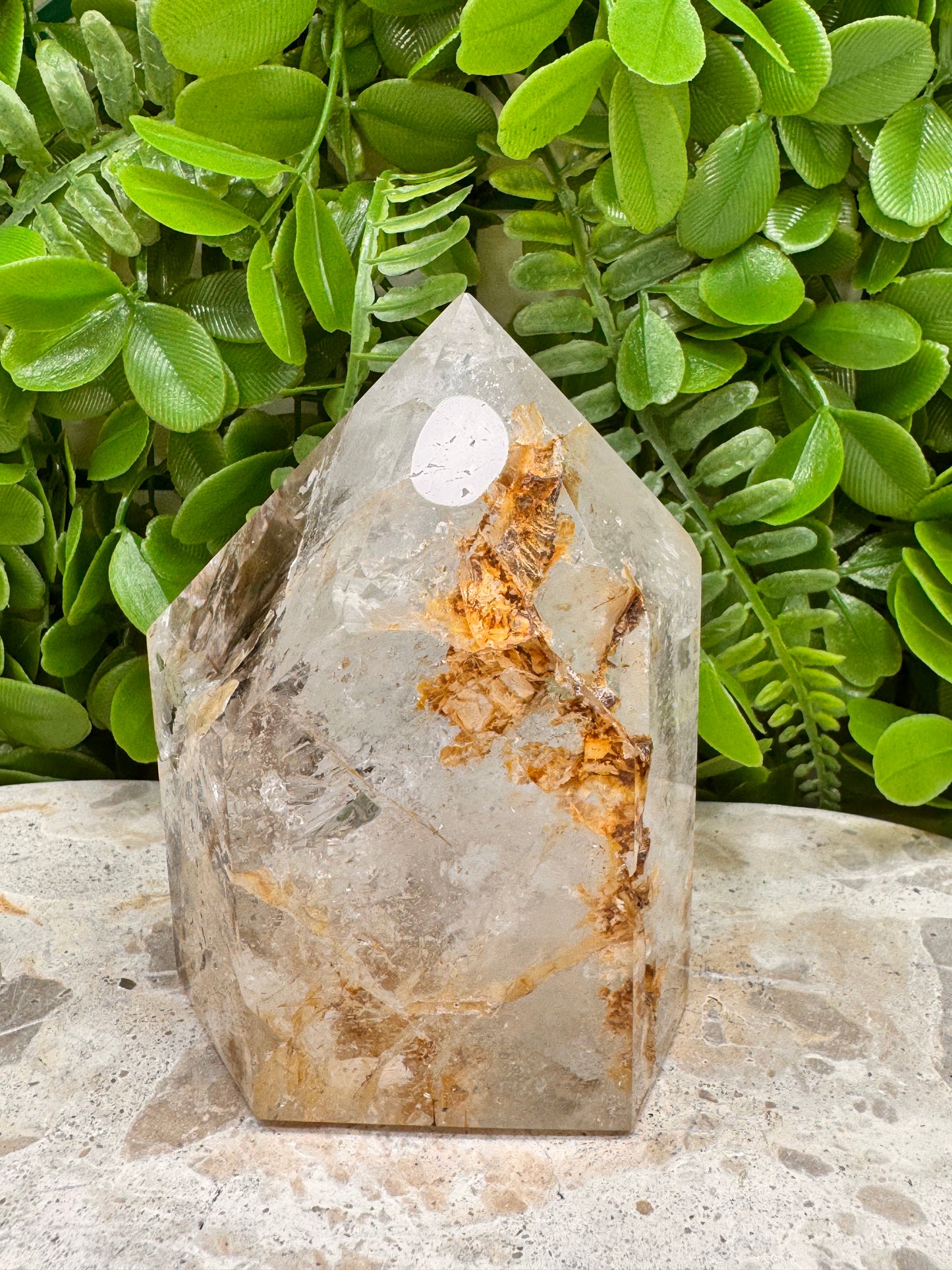 Included Quartz Freeform 756g