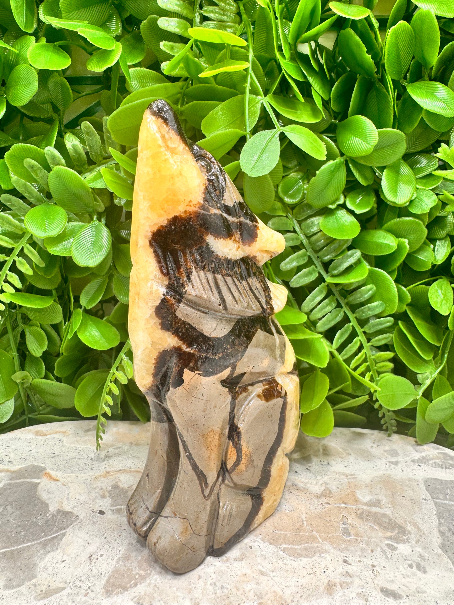 Septarian Dragon Stone 579g