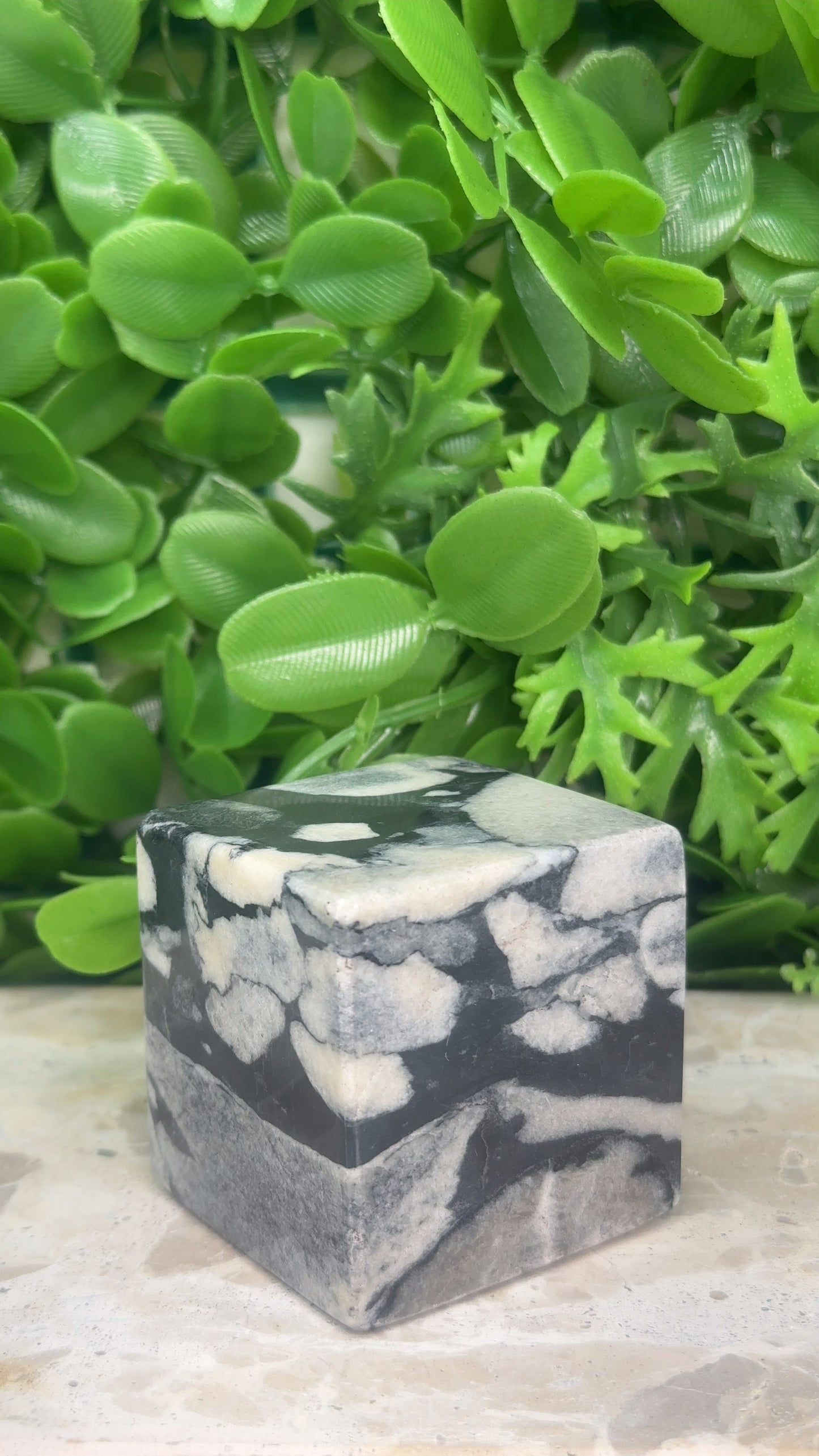 Shell Jasper Cube 330g