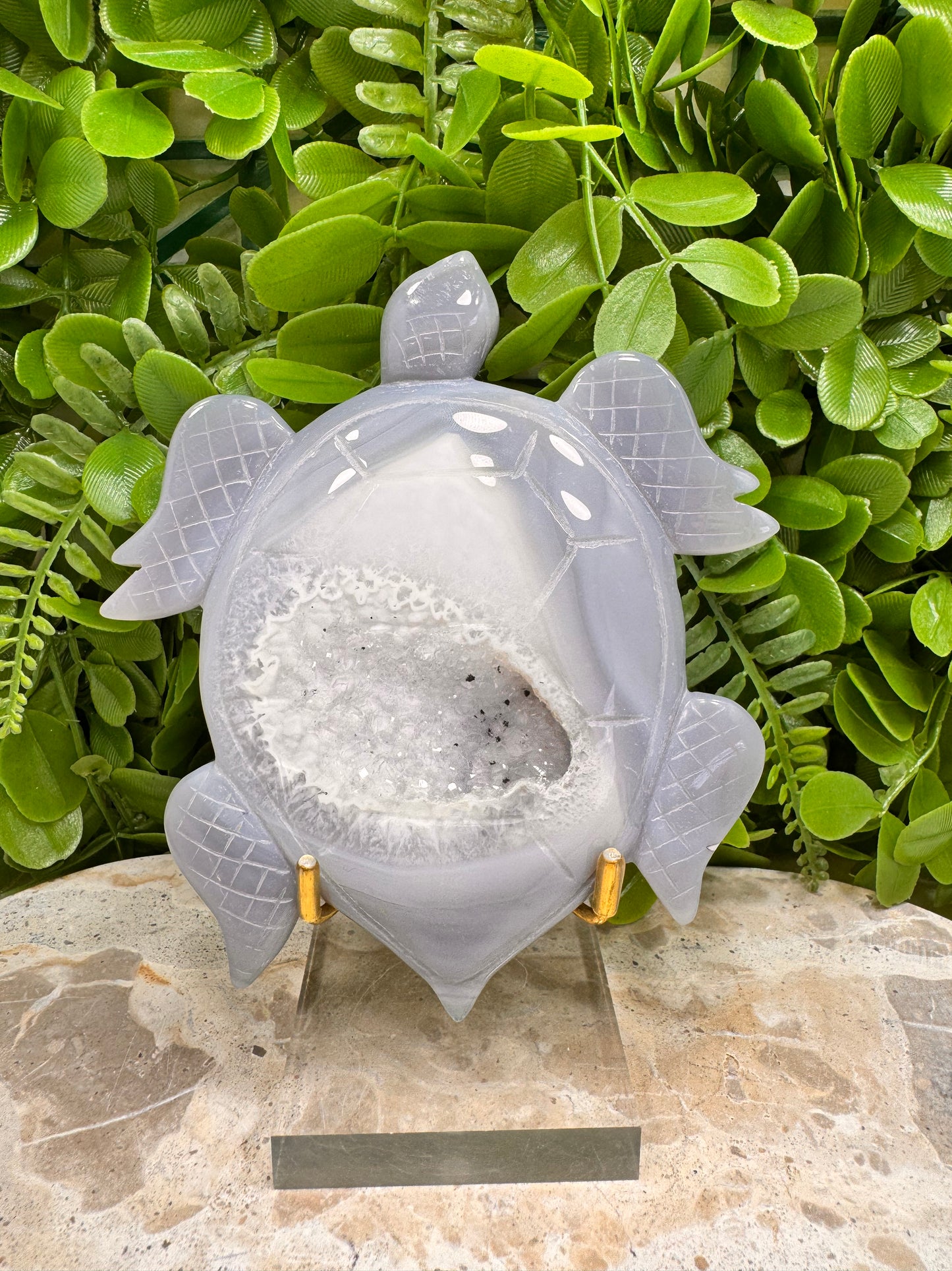 Druzy Agate Turtle 280g
