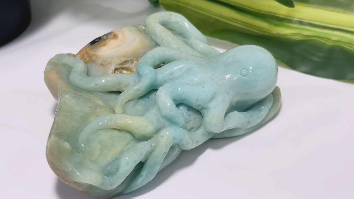 Amazonite Octopus Carving 600g