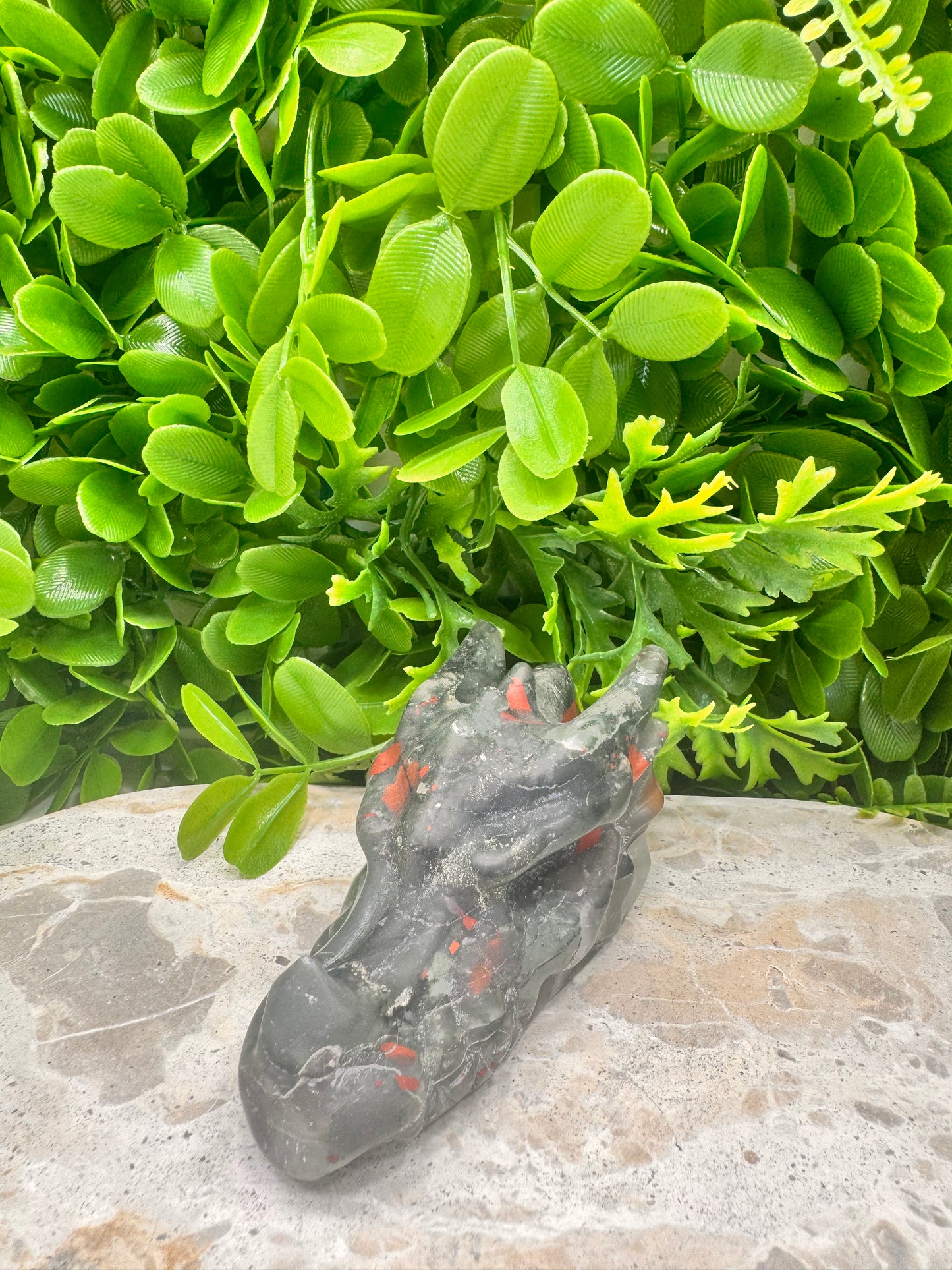 African Bloodstone Dragon Skull 278g