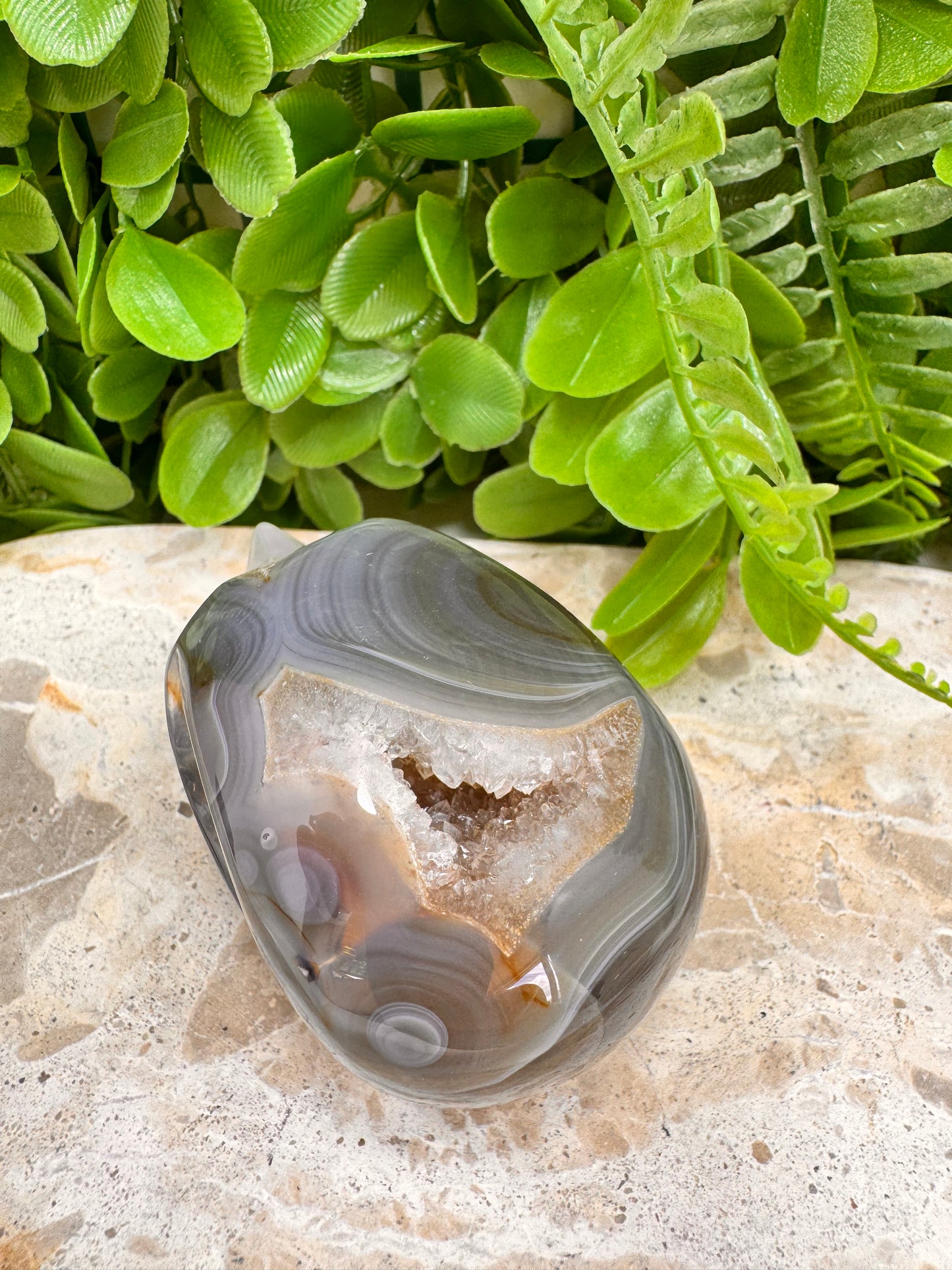Agate Druzy Skull 262g