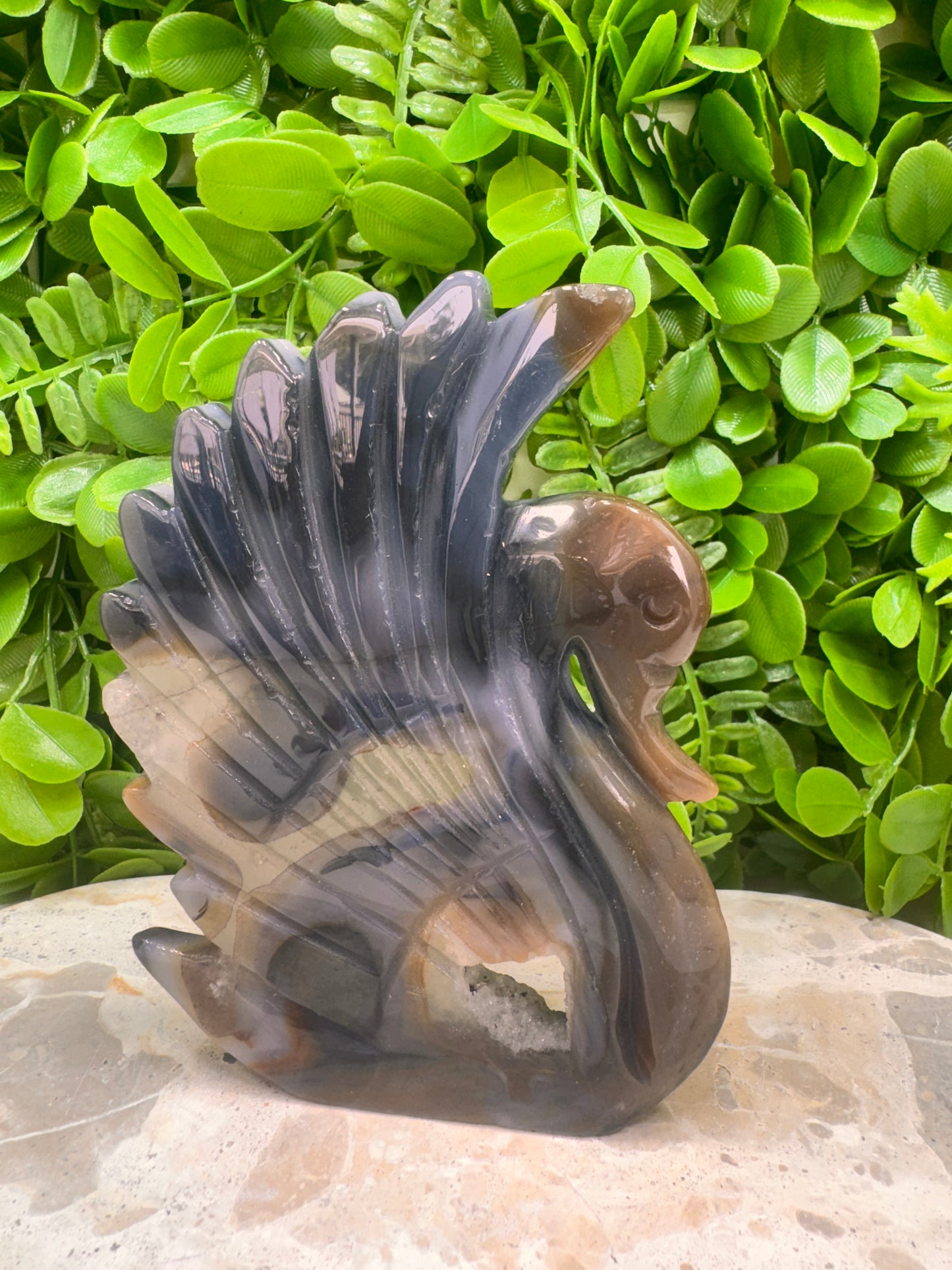 Agate Druzy Swan 306g