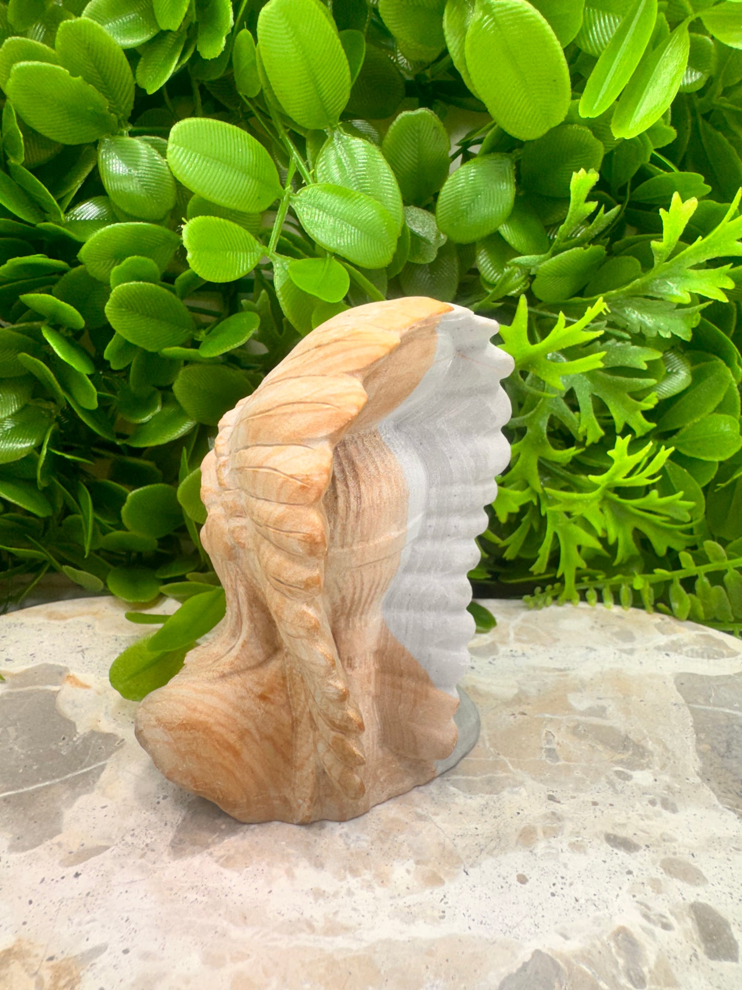 Picture Jasper Chief 380g