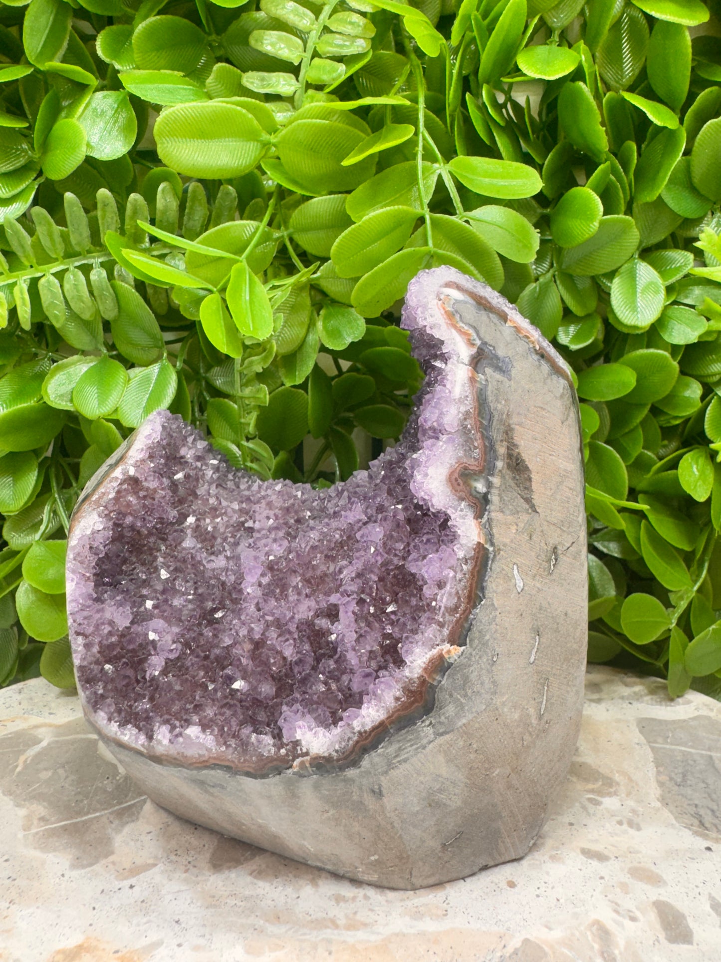 Amethyst Freeform Cluster 1.2kg