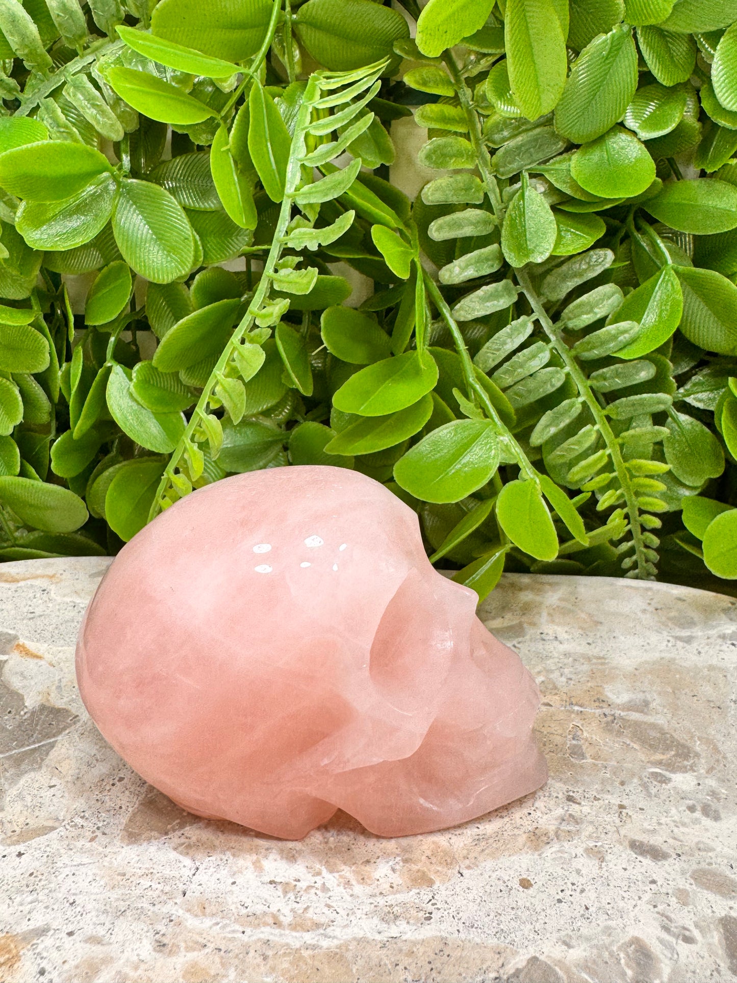 Rose Quartz Skull 336g