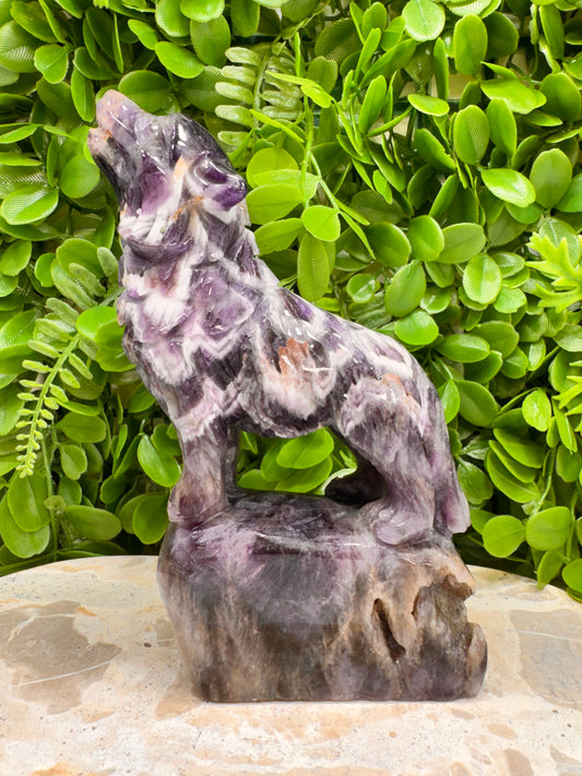 Chevron Amethsyt Wolf 920g