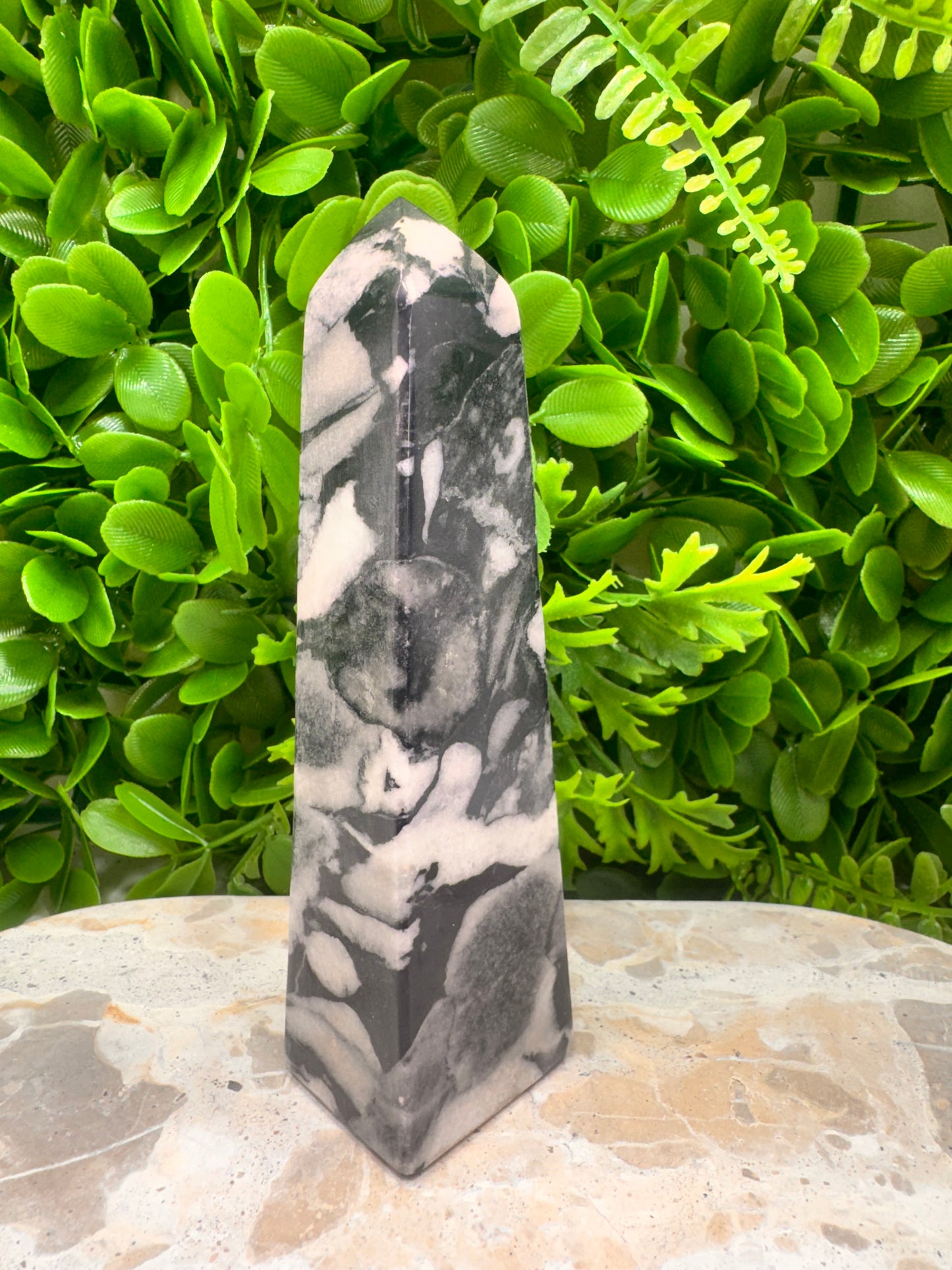 Shell Jasper Tower 420g