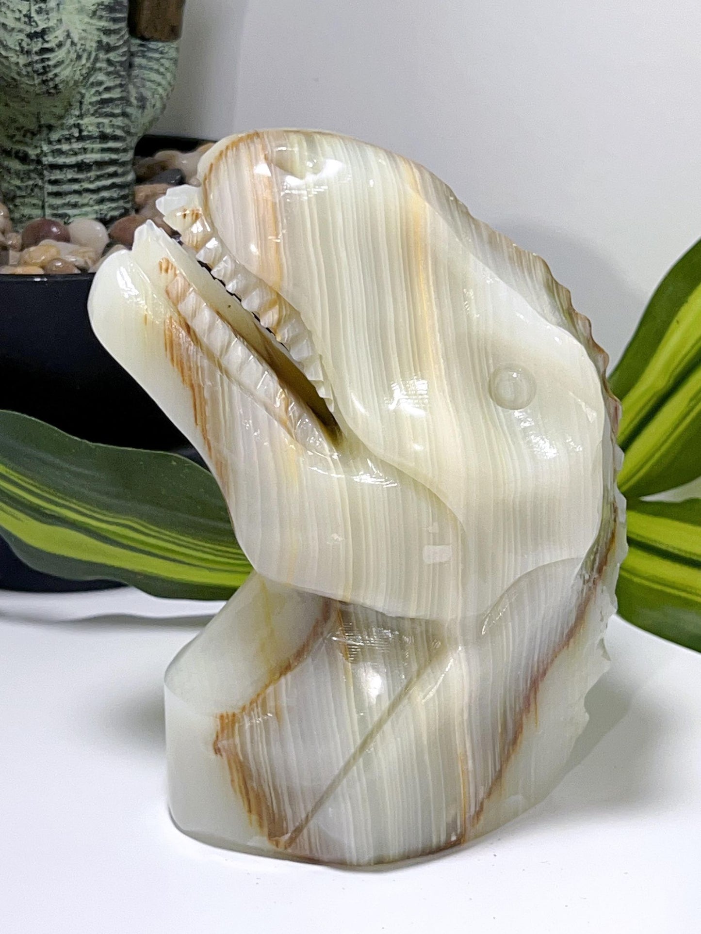 Green Banded Onyx T Rex 1370g