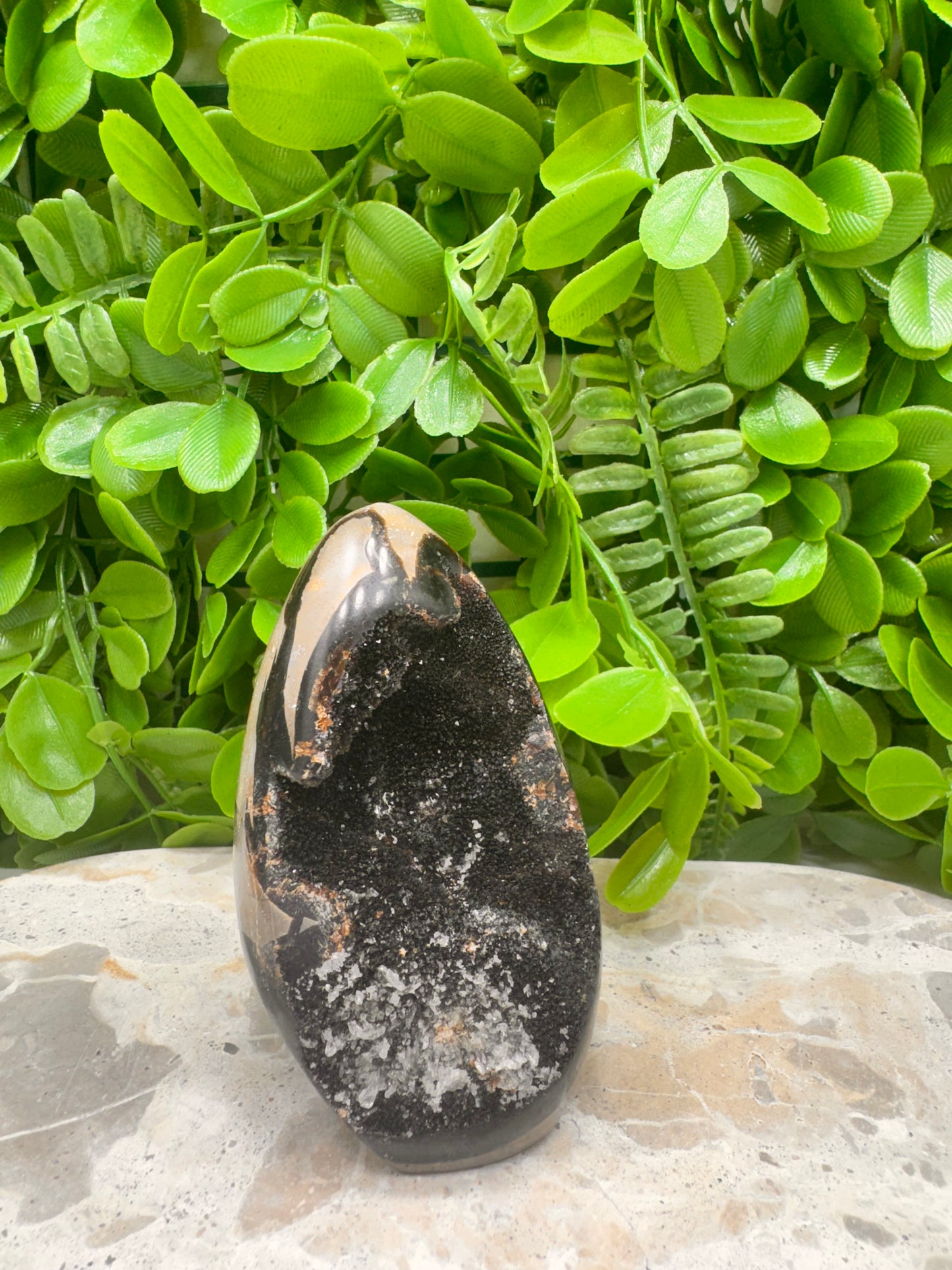 Septarian Freeform 316g