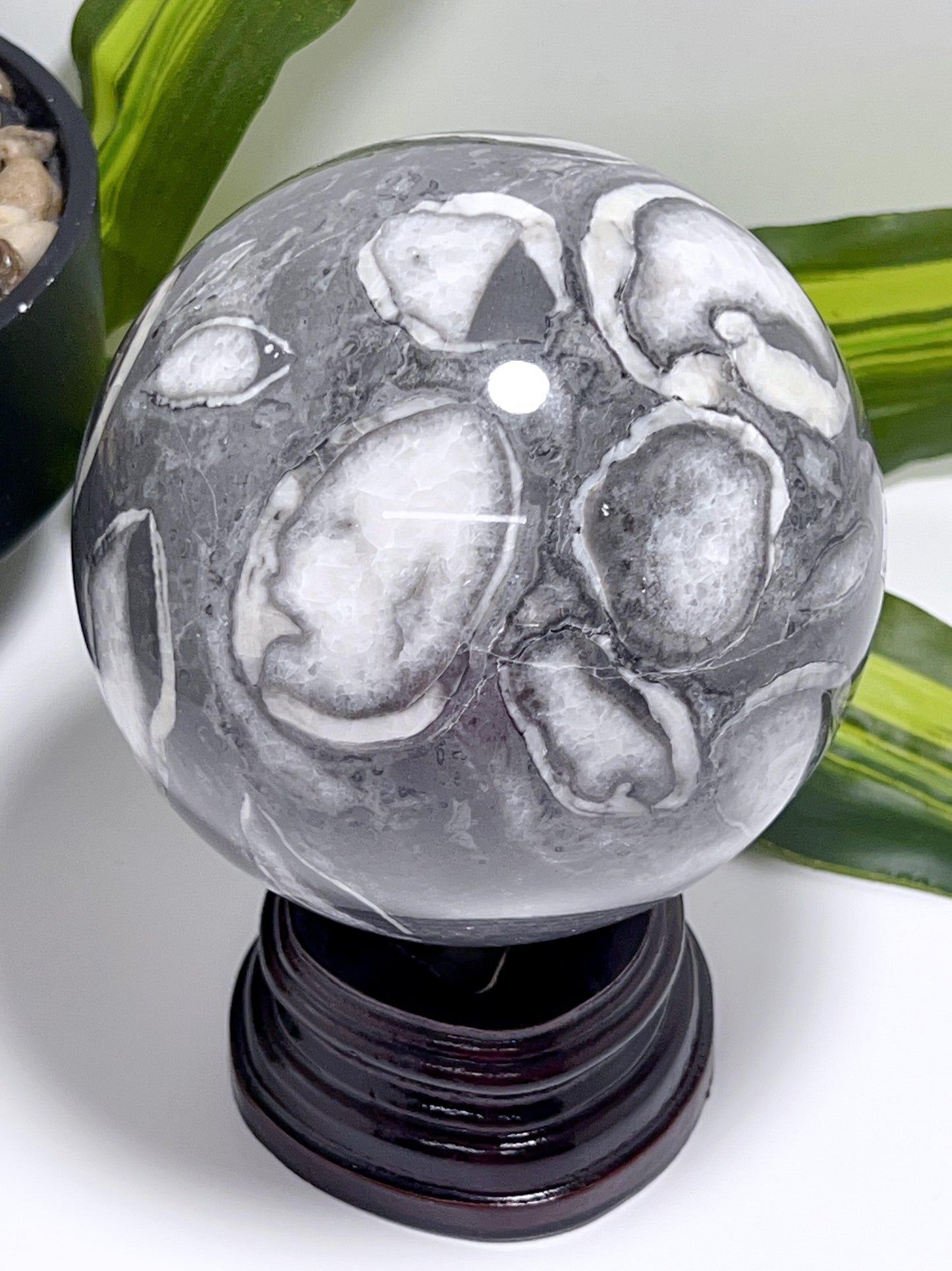 1000 Eye Jasper Sphere 2446g