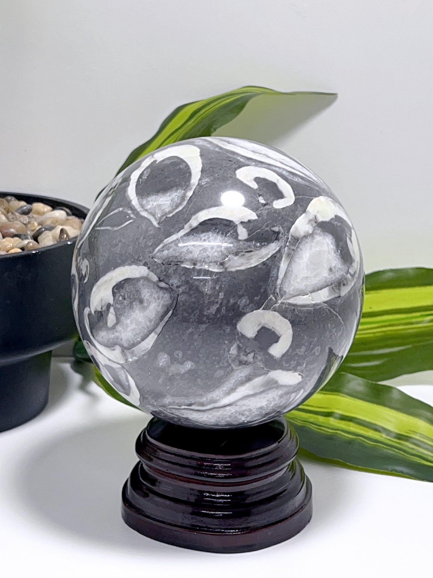 1000 Eye Jasper Sphere 2.4kg